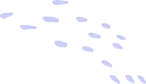 graphic image 3